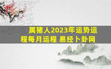 属猪人2023年运势运程每月运程 易经卜卦网